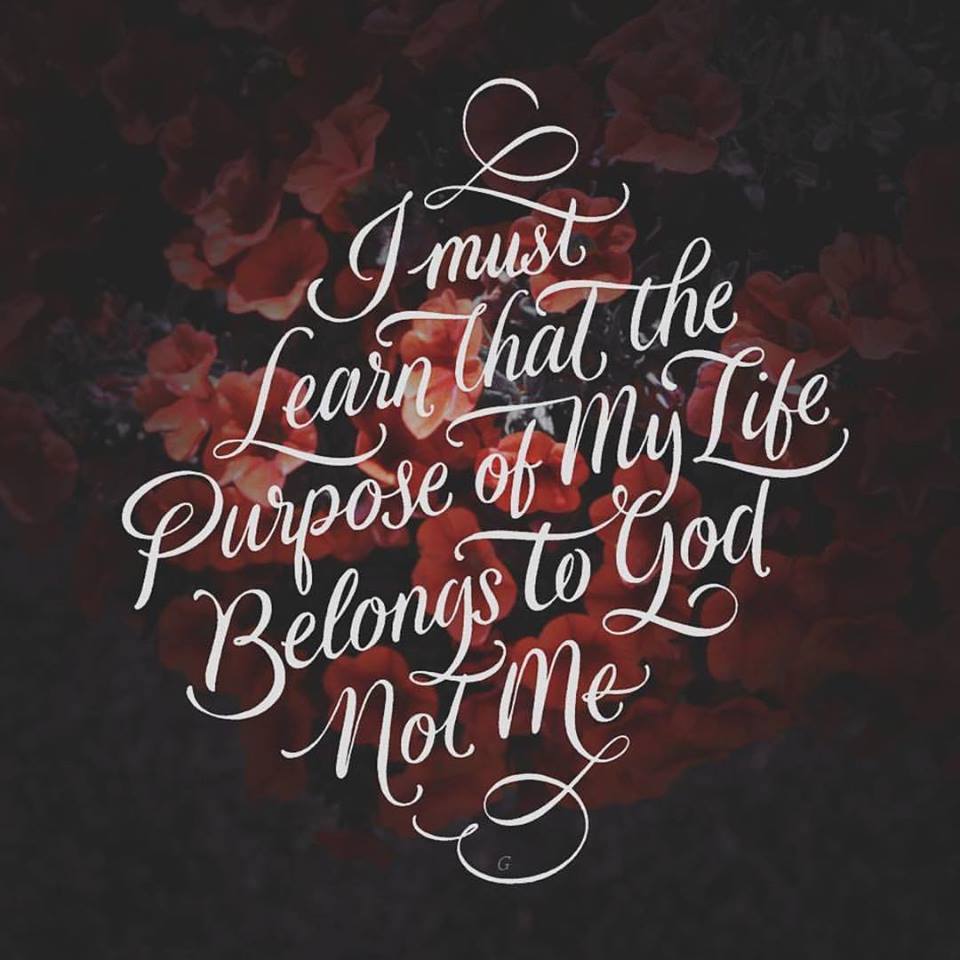 11224762_1162300963797550_3237338032135725723_n