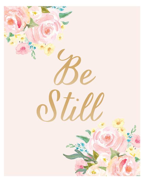 13255926_1287299441297701_6808083845262105504_n