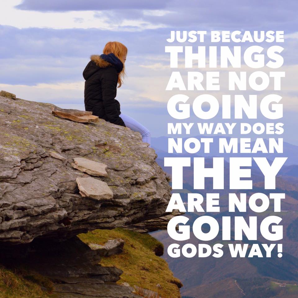 13892277_273888759649269_1207798511498712406_n