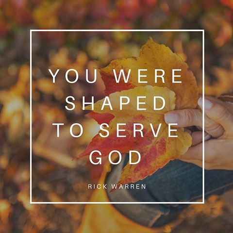 14354887_1378217035539274_7439398348838727763_n