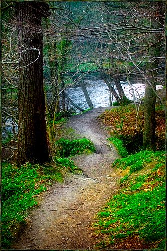 14563315_1420018658025778_5551642815073025772_n