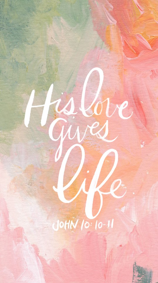 14642481_1405269216167389_1891188240982490582_n